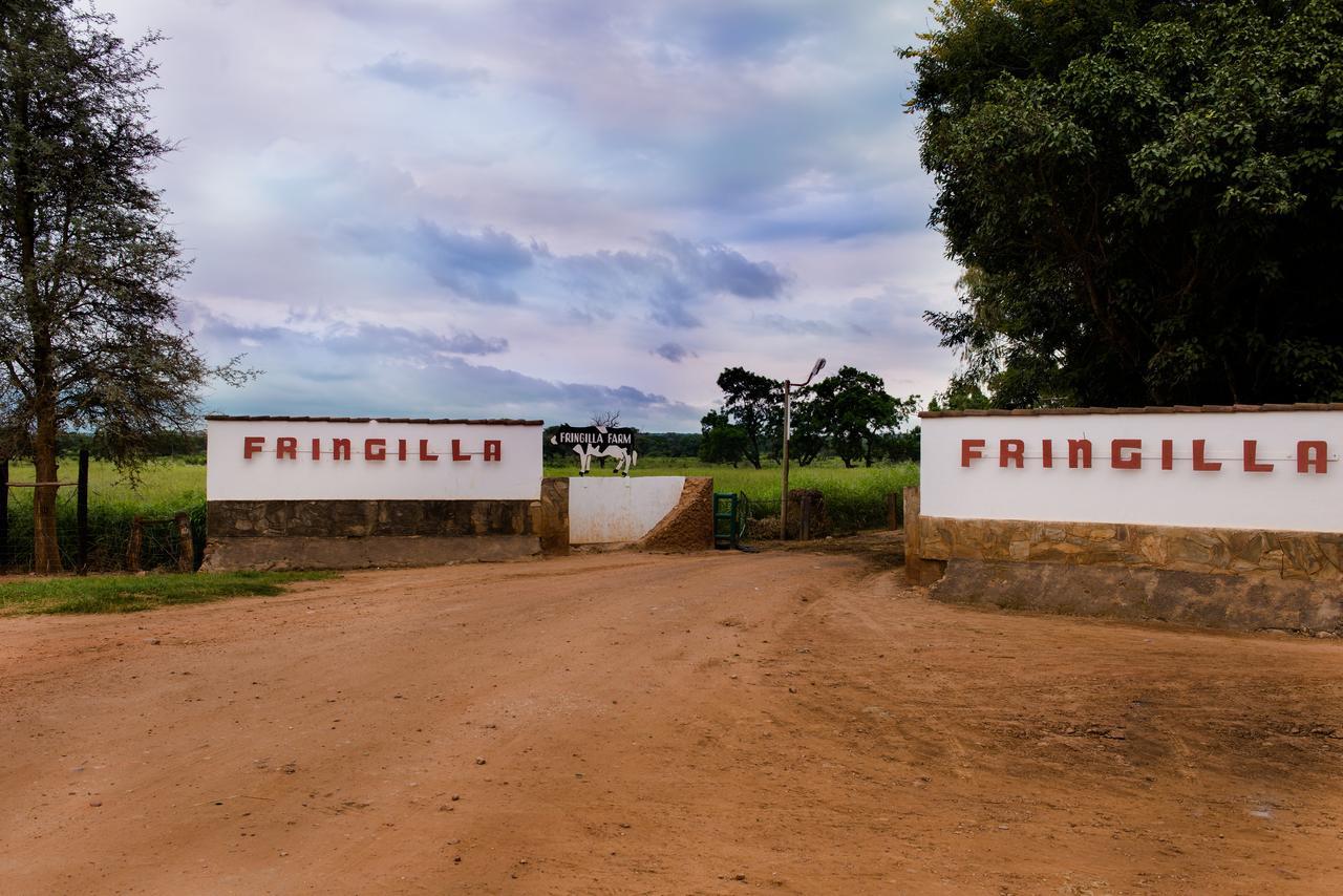 Fringilla Lodge Chisamba Extérieur photo