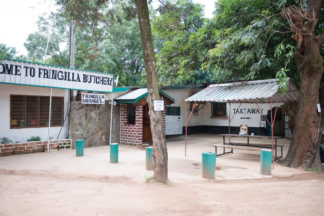 Fringilla Lodge Chisamba Extérieur photo